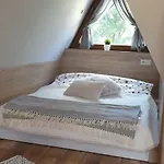 Cyrek ホームステイ