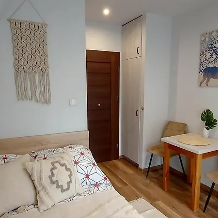 Cyrek Homestay