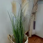 Habitación en casa particular Cyrek *