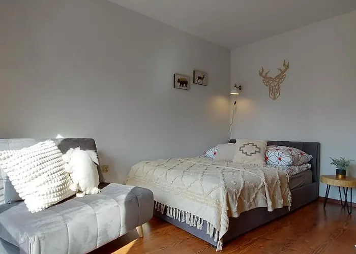 Cyrek * זקופאנה